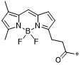 BODIPY FL化學結構