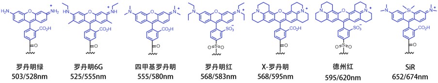 罗丹明系列染料的化学结构