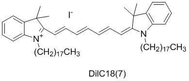 dilC18(7)