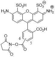 AF488-NHS