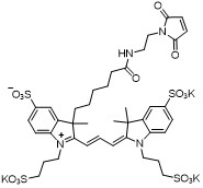 AF555-maleimide