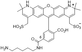 AF568-amine