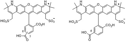 AF568-COOH