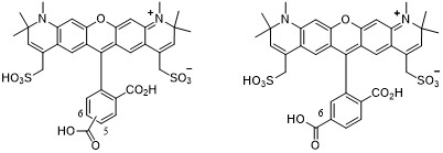 AF594-COOH