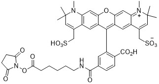 AF594-X-NHS
