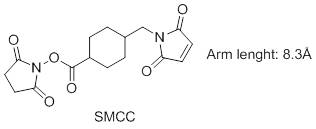 SMCC