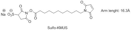 Sulfo-KMUS