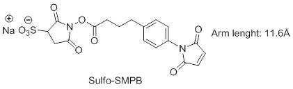 Sulfo-SMPB