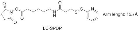 LC-SPDP