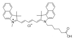 cy5.5 carboxylic acid
