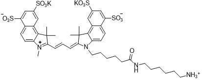 Sulfo-Cy3.5 amine