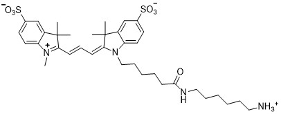 Sulfo-Cy3-amine