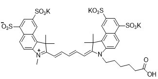 Sulfo-Cy5.5 acid