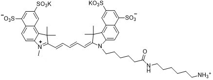 Sulfo-Cy5.5 amine