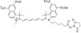 Sulfo-Cy7.5 NHS