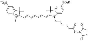 Sulfo-Cy7-NHS