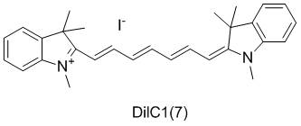 DilC17