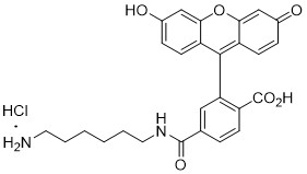 6-FAM-amine