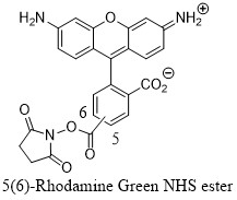 56-Rhodamine-Green-NHS-ester