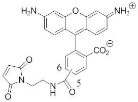 Rhodamine-green-maleimide