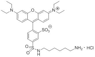 Rhodamine-red-amine