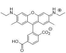 6-r6g-acid