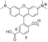 6-tamra-acid