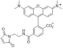 TAMRA-maleimide