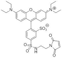 rhodamine-red-maleimide