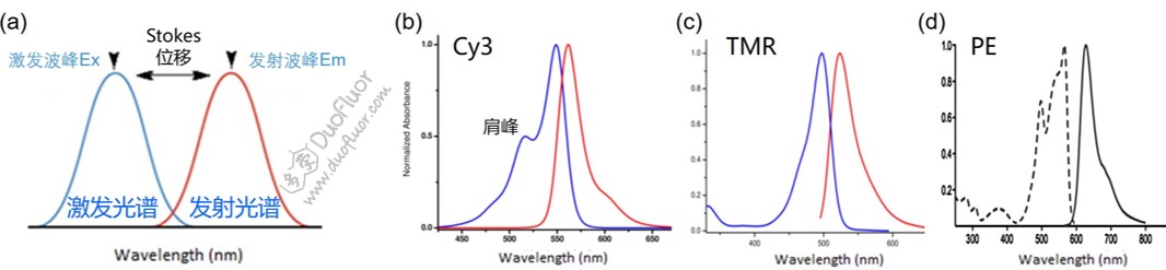 常见染料荧光图谱