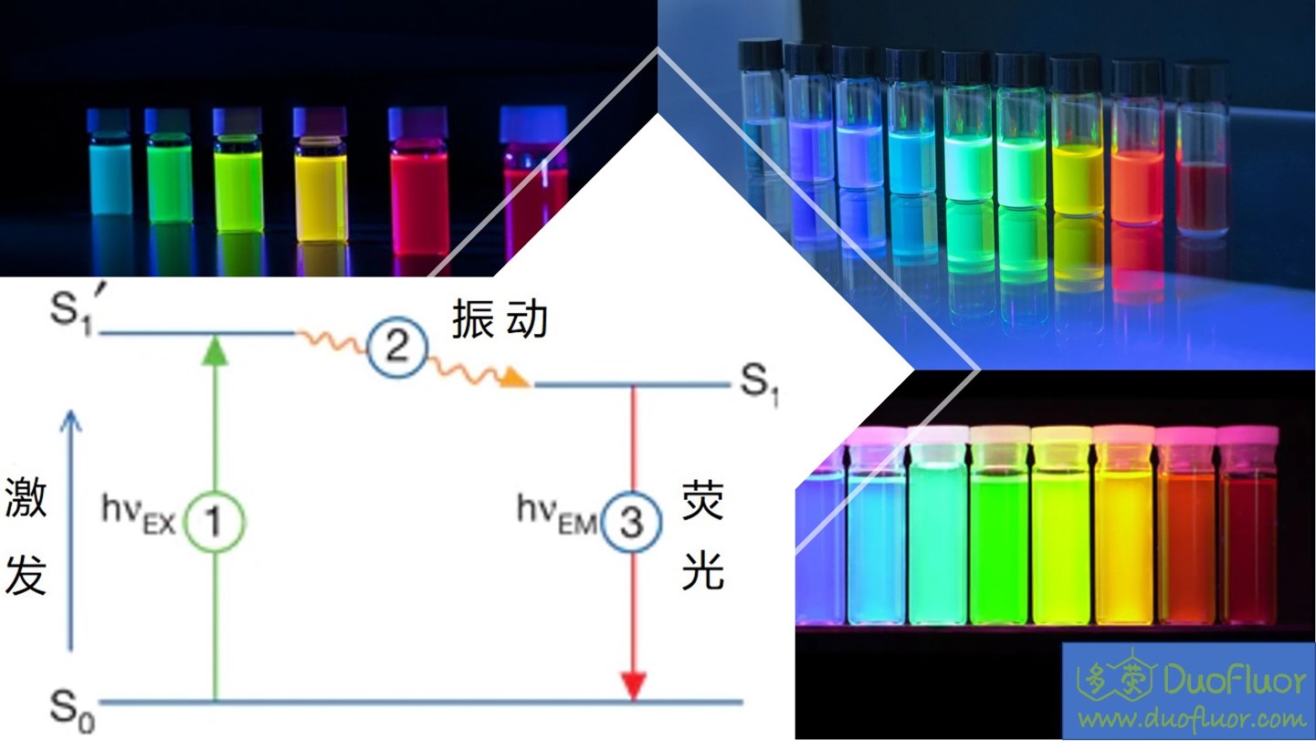 ImageJ实用技巧——平均荧光强度检测(定量分析篇) - 知乎