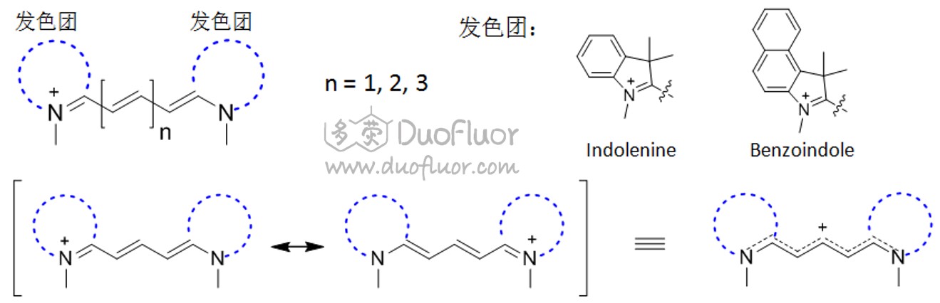 Cy染料的亚甲基桥结构