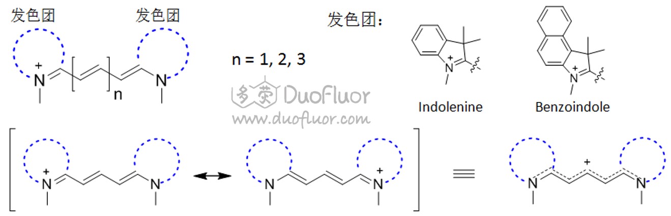 Cy染料的亚甲基桥结构