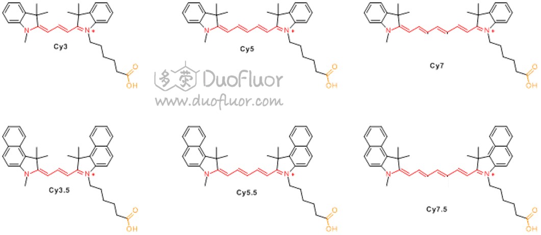 cy3 cy5 cy7 cy3.5 cy5.5 cy7.5