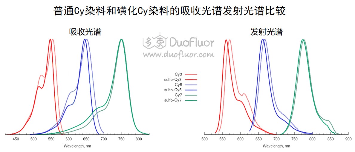 Cy染料磺化引起光谱蓝移